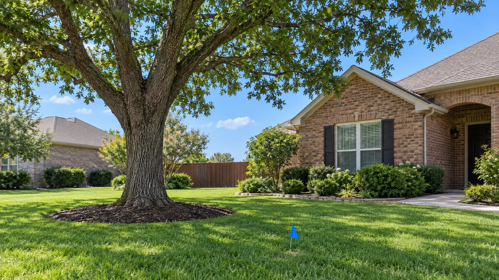 Root Control Program in Nashville